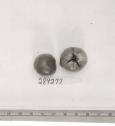 Click for 1 image(s) for this accession. FRUIT